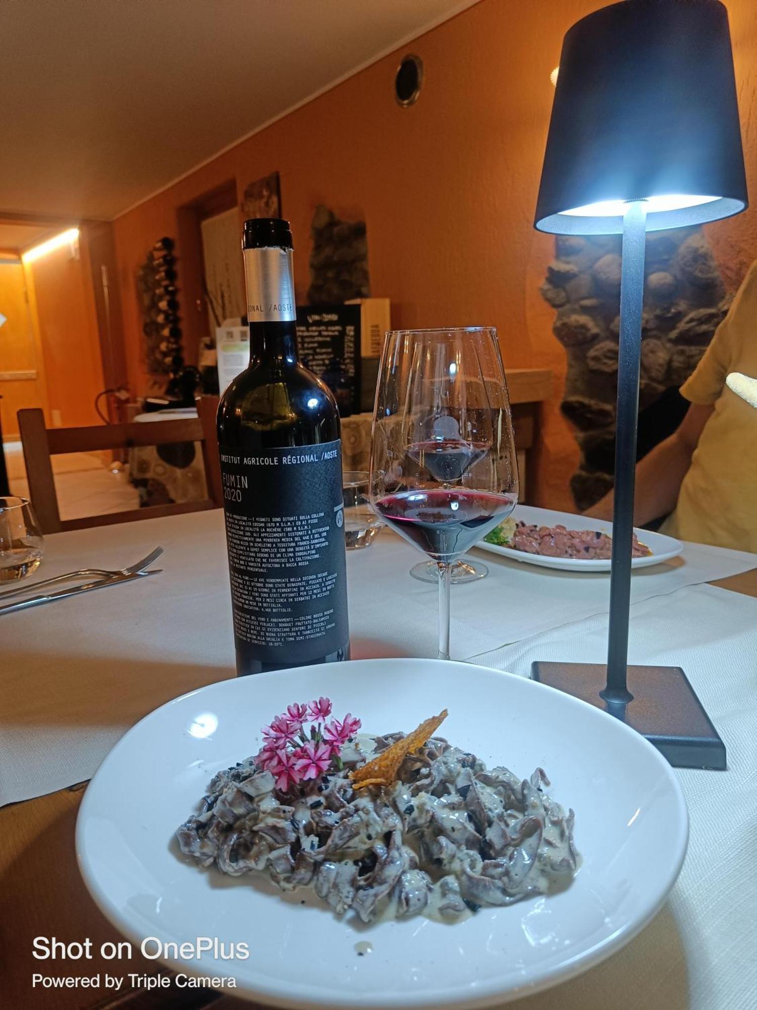 Lou Rose Villa Donnaz Bagian luar foto